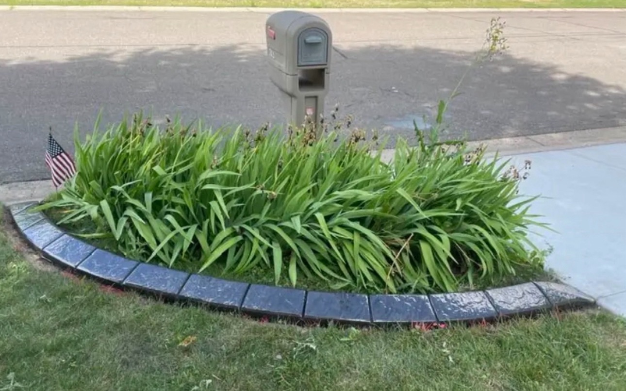 Curbscaping_tampabay_quality